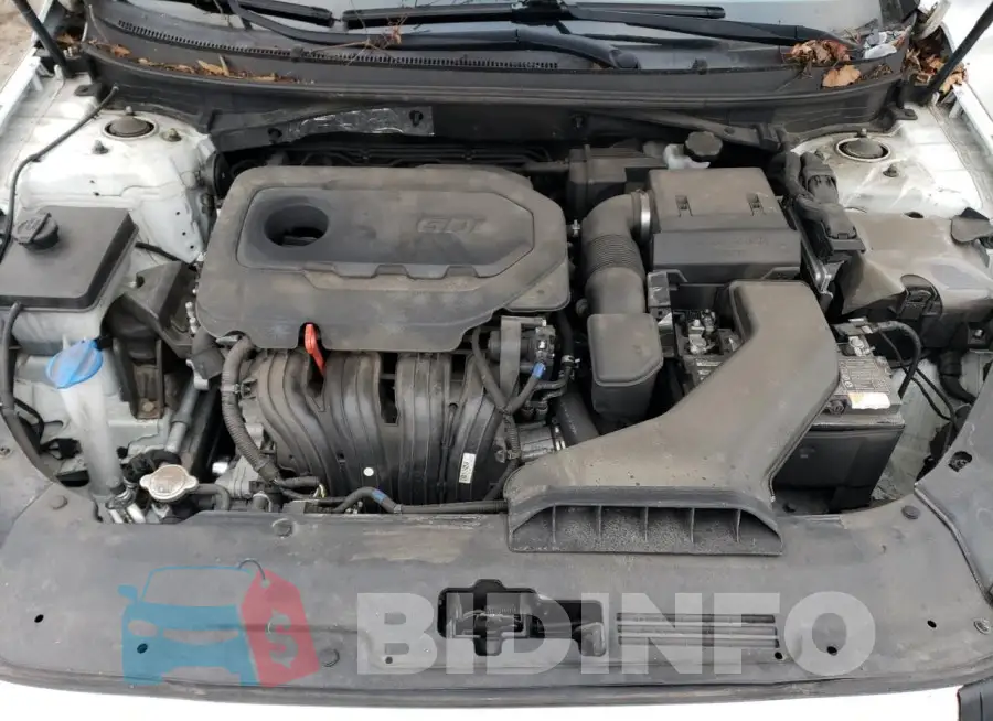 5NPE24AF8KH798361 Photo# 11