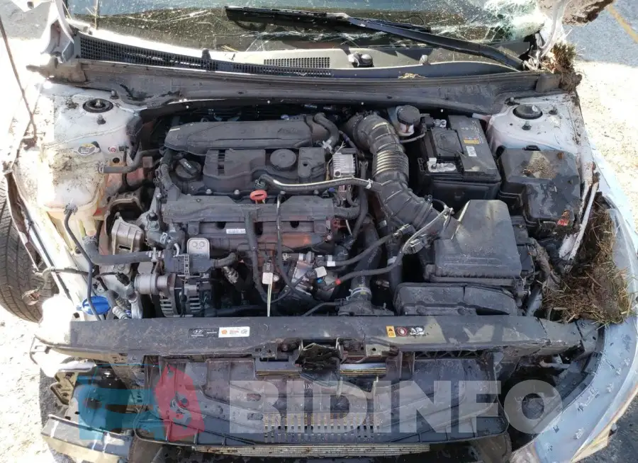 KMHLR4AF1PU483283 Photo# 11