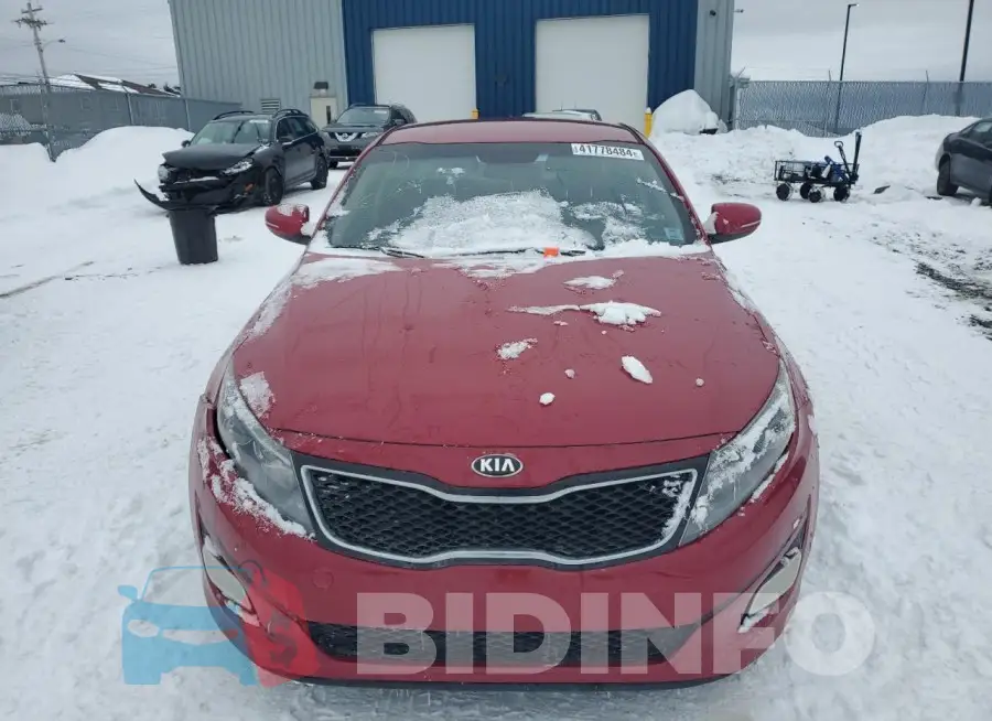 KNAGM4A70F5550572 Photo# 5