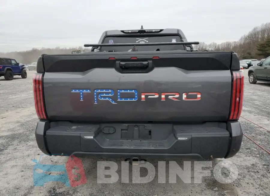 5TFPC5DB1PX015378 Photo# 6