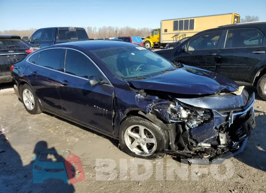1G1ZB5ST8HF174504 Photo# 4