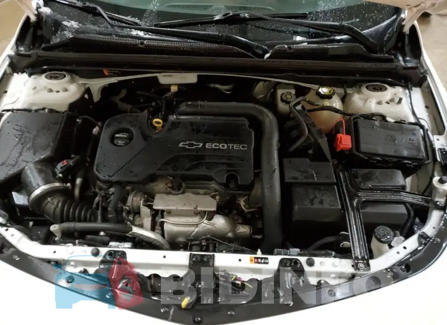 1G1ZD5ST3JF154869 Photo# 11