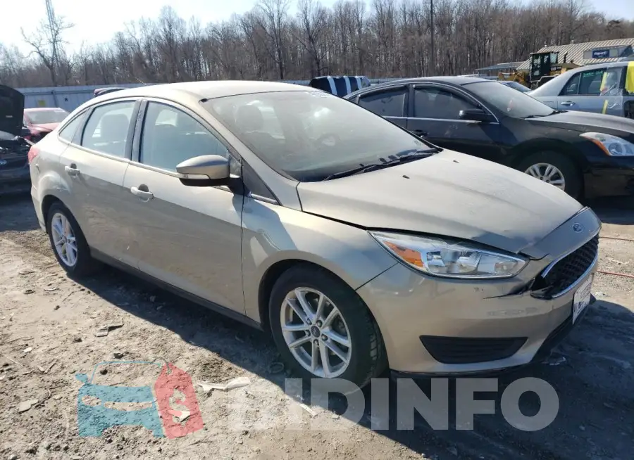 1FADP3F2XFL339305 Photo# 4