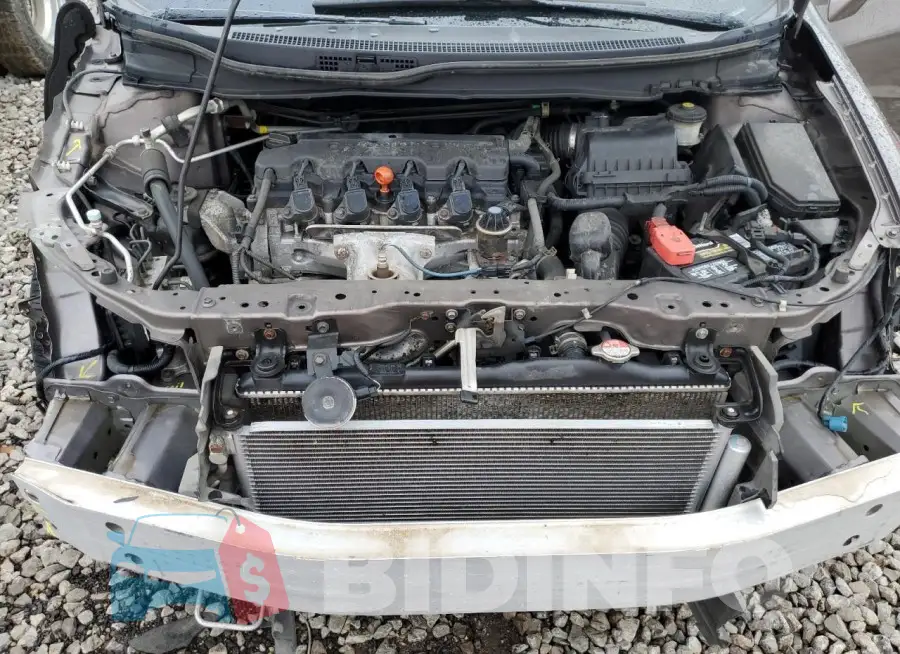 19XFB2F94FE042161 Photo# 11