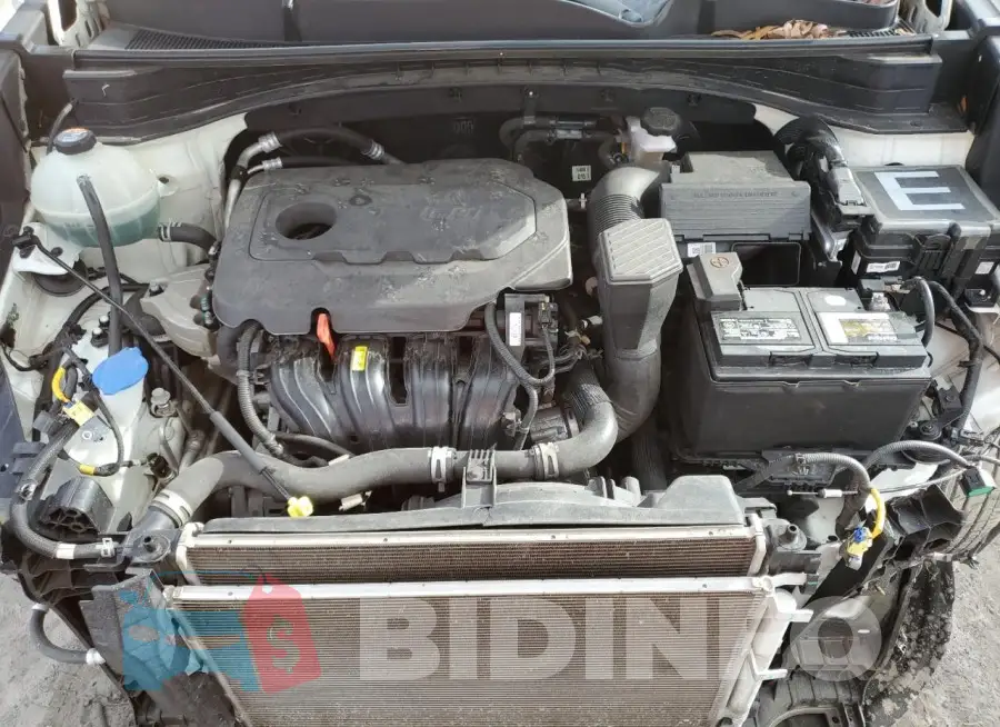 KNDPM3AC4H7207877 Photo# 12