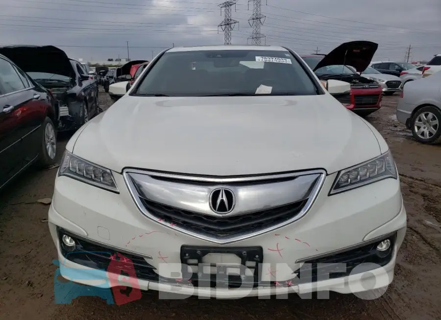 19UUB2F51HA003524 Photo# 5