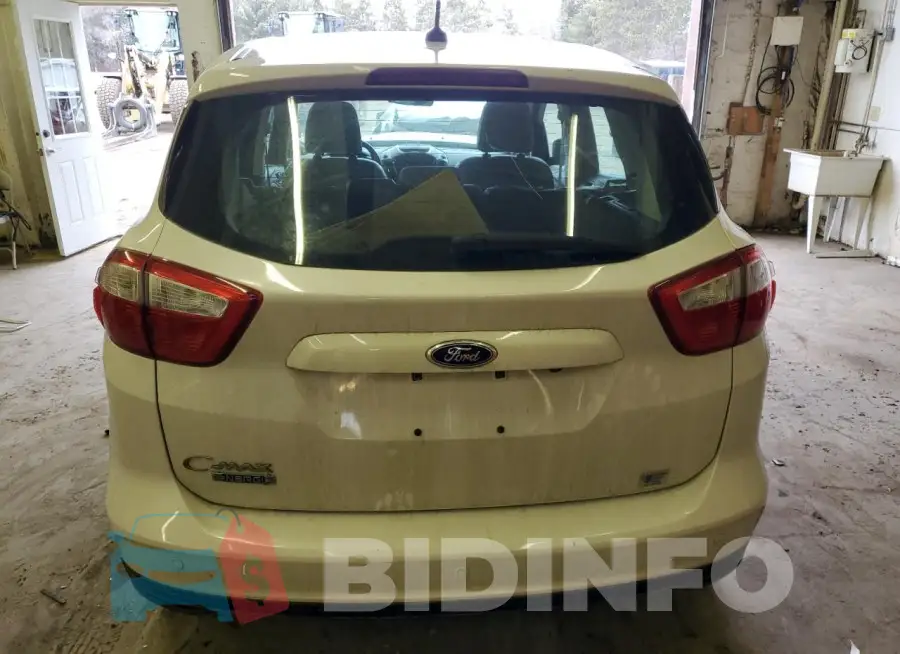 1FADP5CU7FL110033 Photo# 6