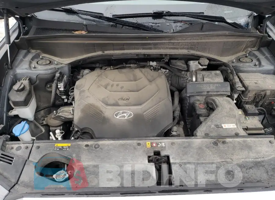 KM8R5DHE3LU049444 Photo# 12