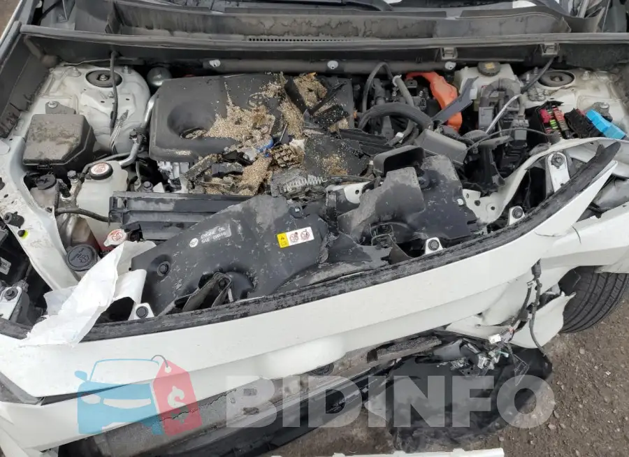 4T3EWRFV2LU004921 Photo# 11