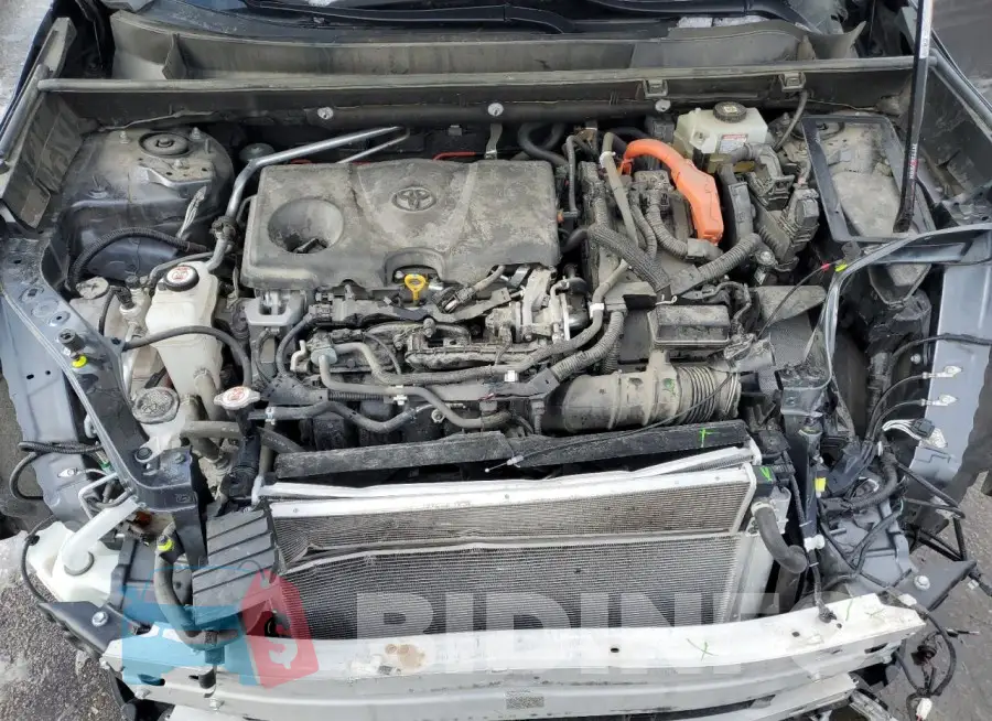 JTMM6RFV8MD014556 Photo# 11