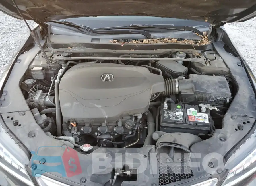 19UUB2F54FA010948 Photo# 11