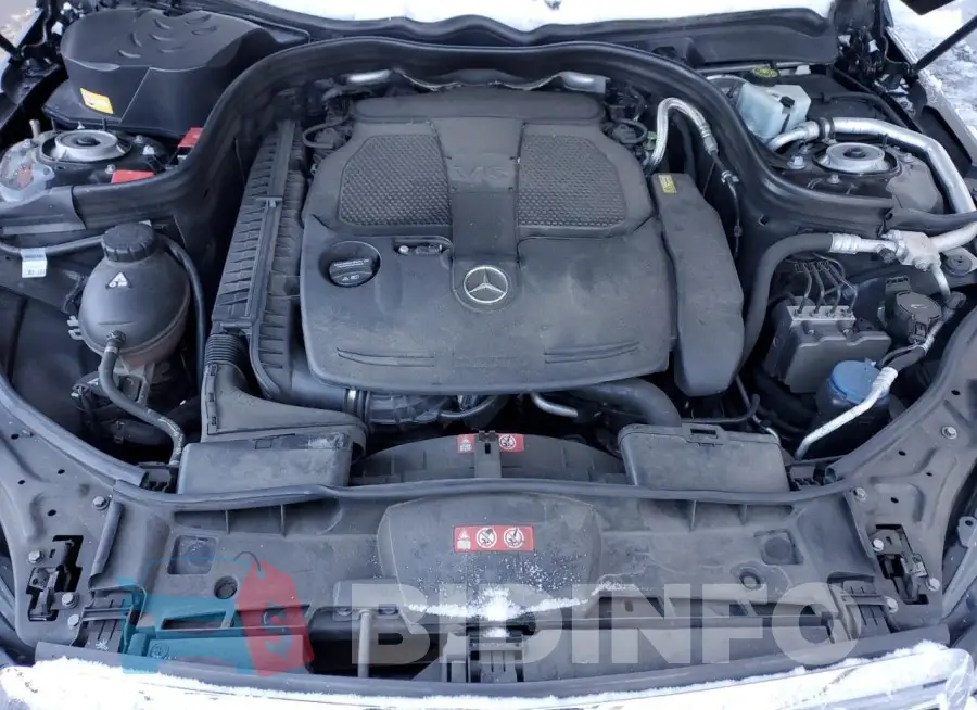 WDDHF8JB1GB186300 Photo# 11