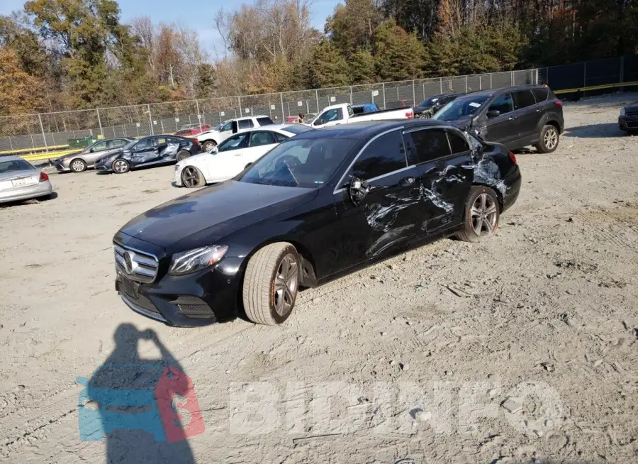WDDZF8EB6LA714198 Photo# 1