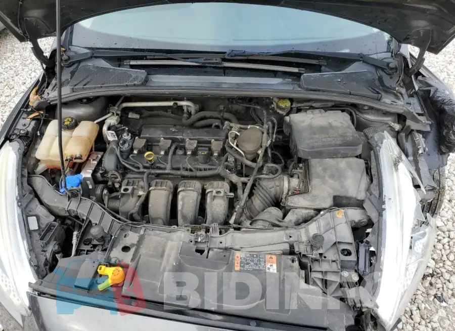 1FADP3F20FL305003 Photo# 11