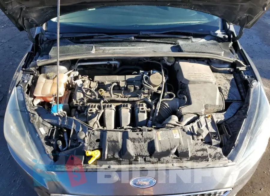 1FADP3F20GL295154 Photo# 11