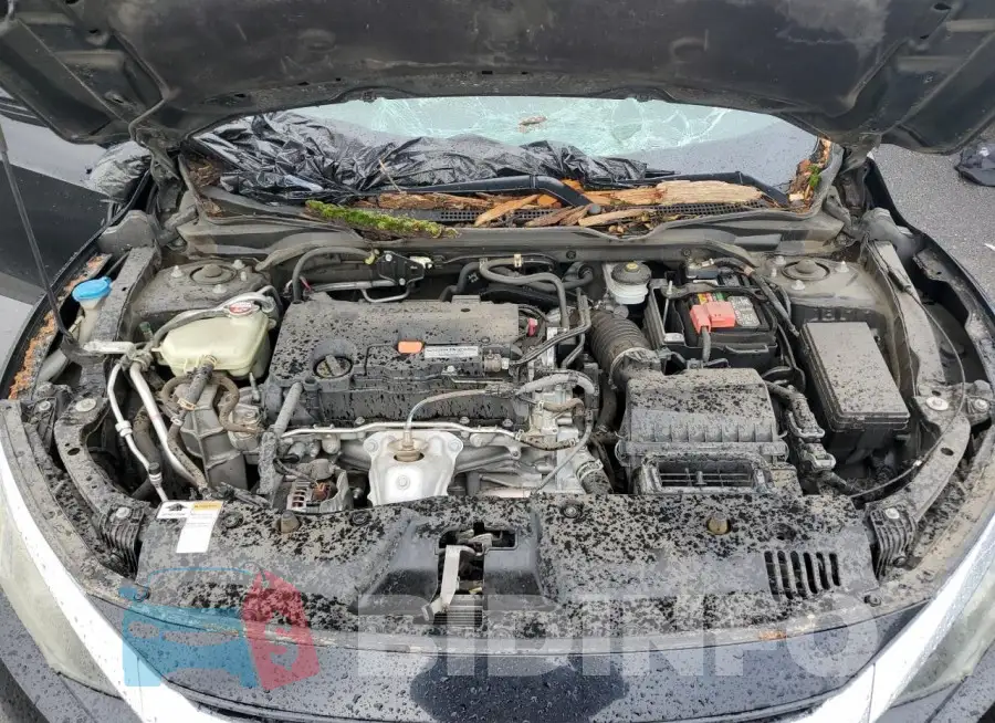 19XFC2F66GE213948 Photo# 11