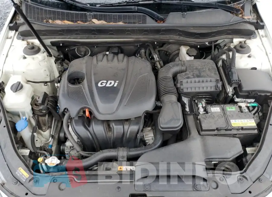 KNAGM4A79F5527890 Photo# 11