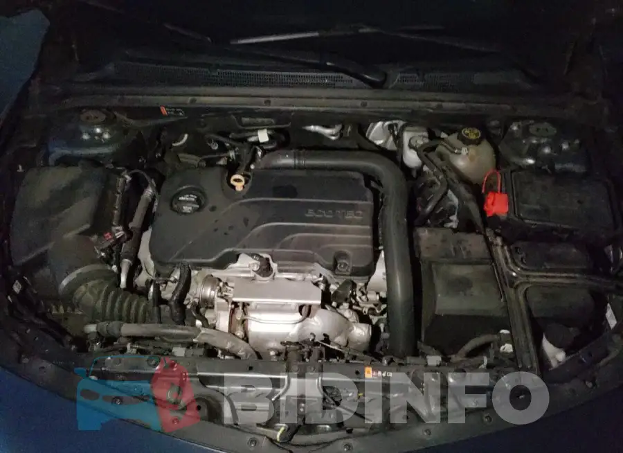 1G1ZD5ST3KF181779 Photo# 11
