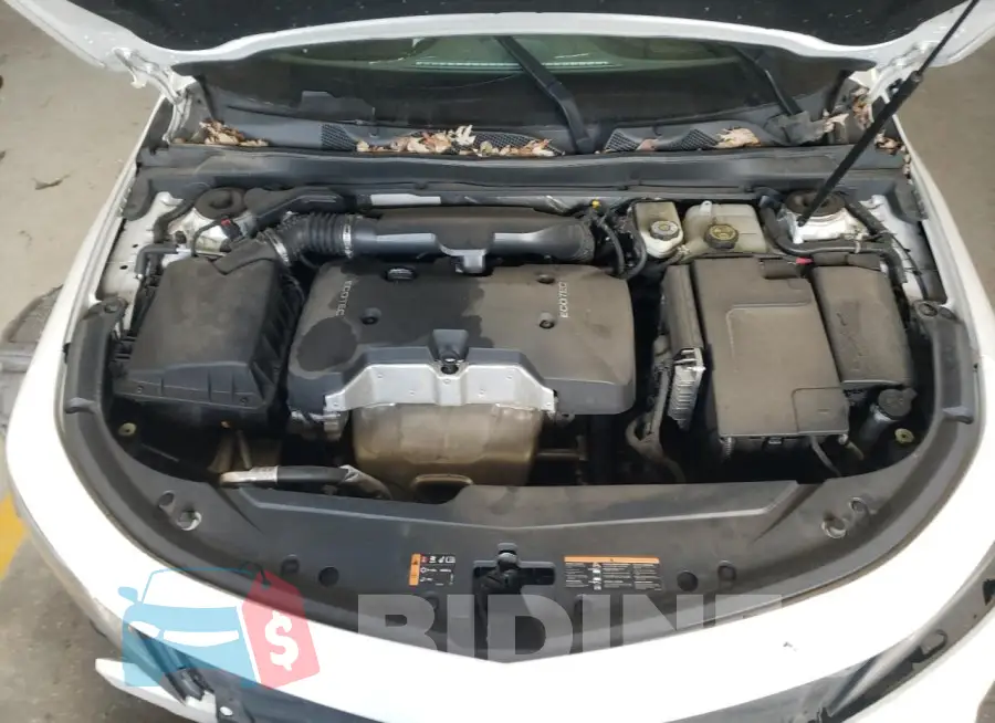 2G11Z5SL1F9111226 Photo# 11