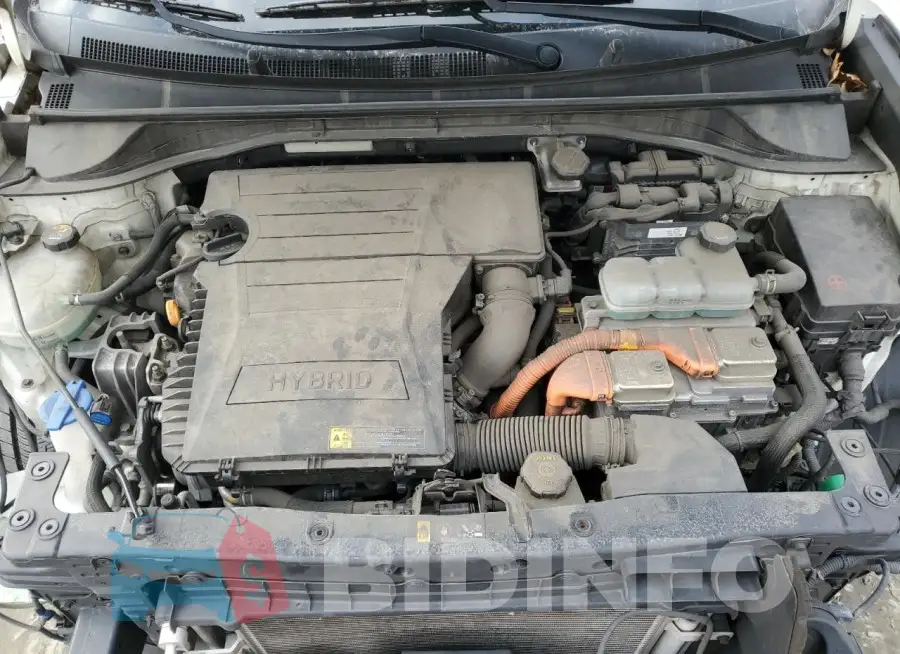 KNDCE3LCXJ5179366 Photo# 12