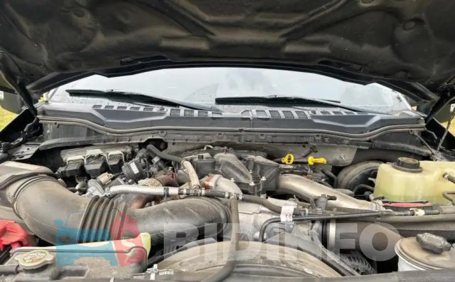 1FT8W3BT6KEG37345 Photo# 7