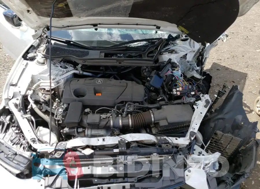 19UUB5F54MA008406 Photo# 11