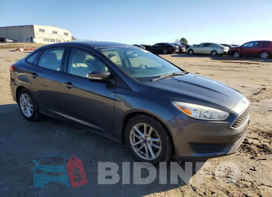1FADP3F20GL342795 Photo# 4