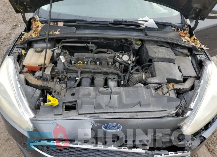 1FADP3F24GL382328 Photo# 11