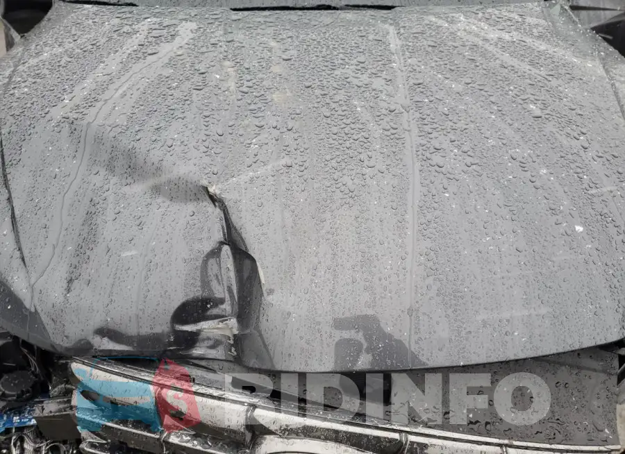 5NMJECDE0RH335883 Photo# 11