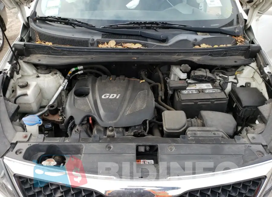 KNDPB3AC5G7832423 Photo# 12