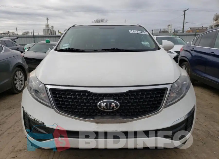 KNDPB3AC5G7832423 Photo# 5