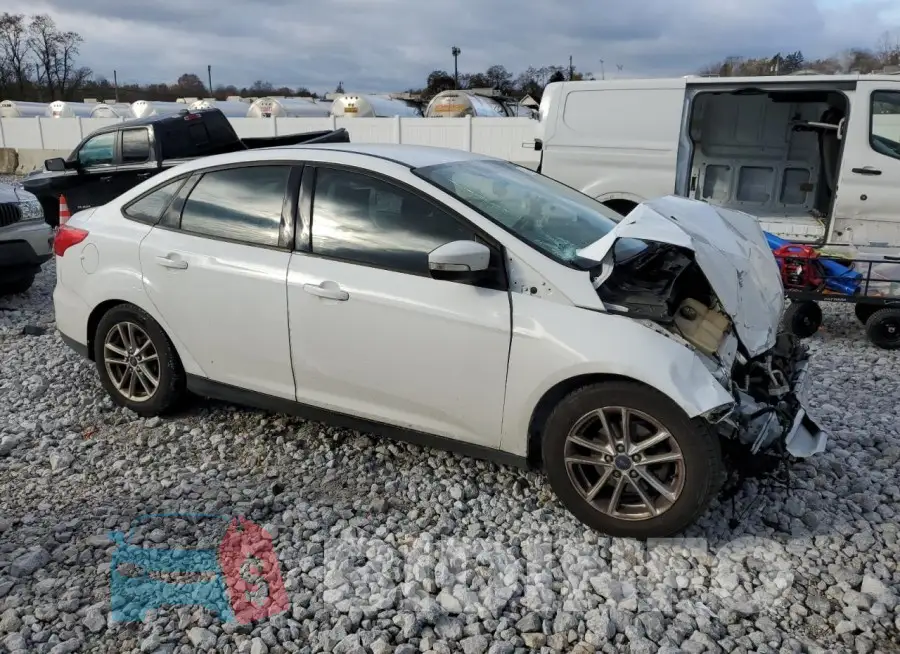 1FADP3F20GL212547 Photo# 4