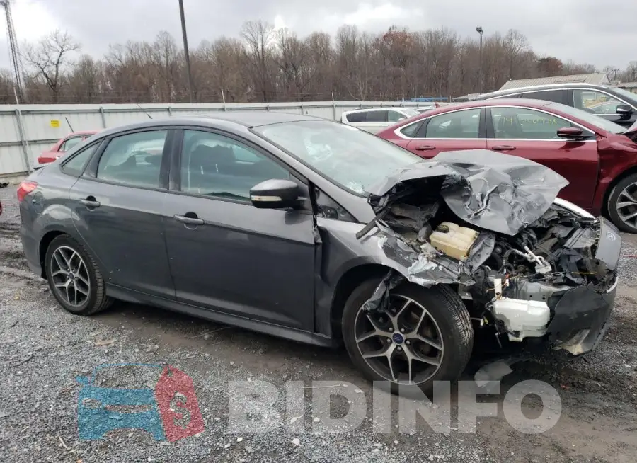 1FADP3F24GL313199 Photo# 4