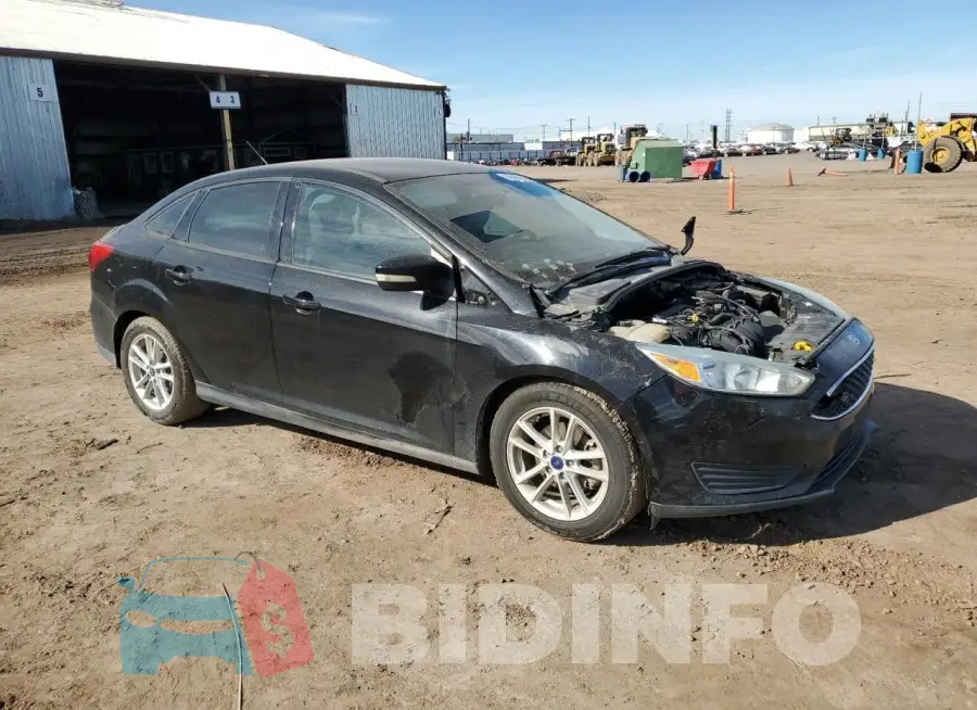 1FADP3F26GL254446 Photo# 4