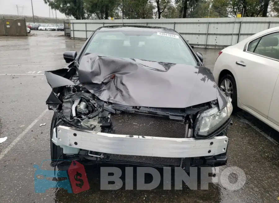 19XFB2F94FE205567 Photo# 5