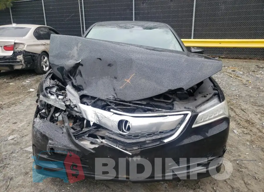 19UUB1F32FA028941 Photo# 5