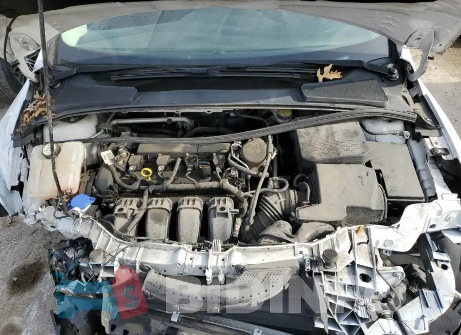 1FADP3E21FL323883 Photo# 11