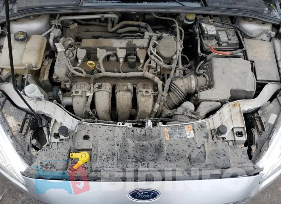 1FADP3F21GL246612 Photo# 11