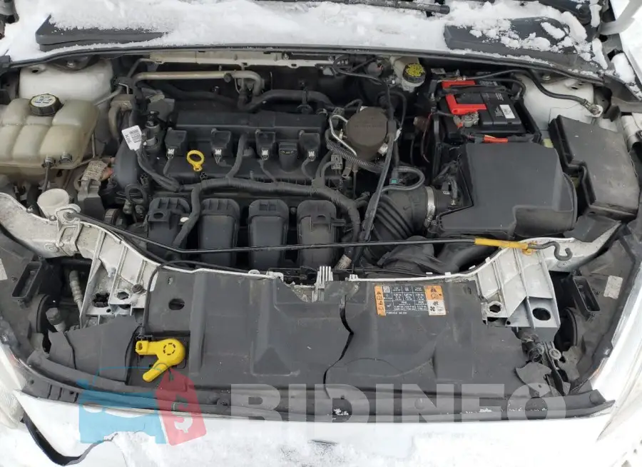 1FADP3F22GL247705 Photo# 11