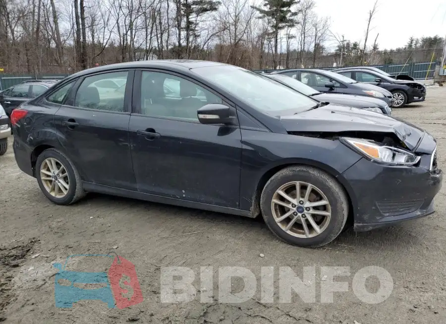 1FADP3F24HL293621 Photo# 4