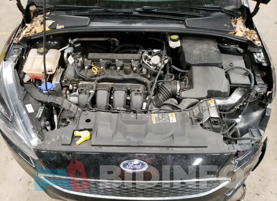 1FADP3M25HL303771 Photo# 11