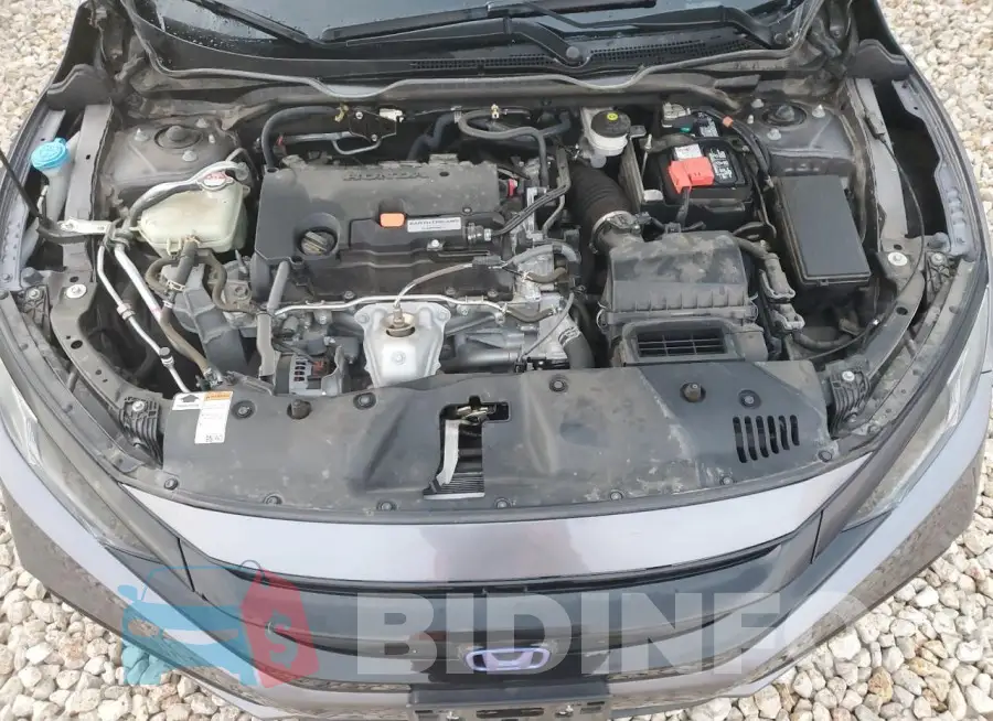 19XFC2F83LE205883 Photo# 11