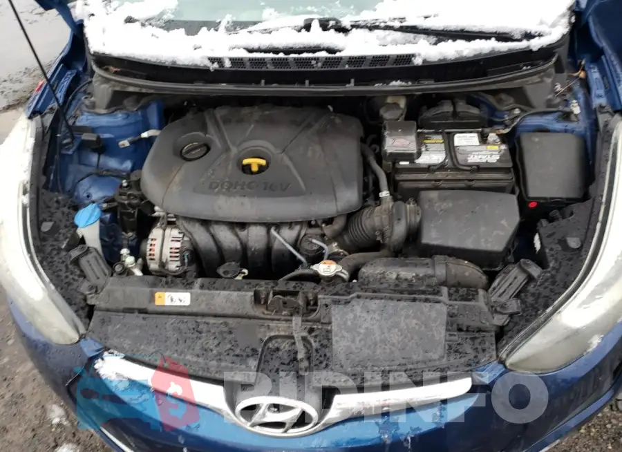 5NPDH4AE5GH781283 Photo# 11
