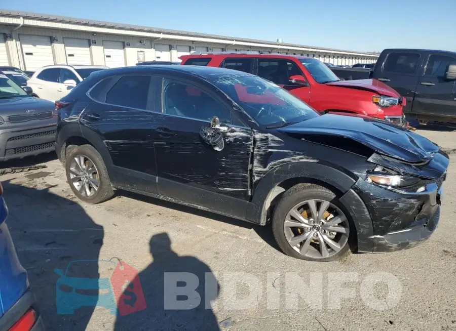 3MVDMBBL3MM252223 Photo# 4