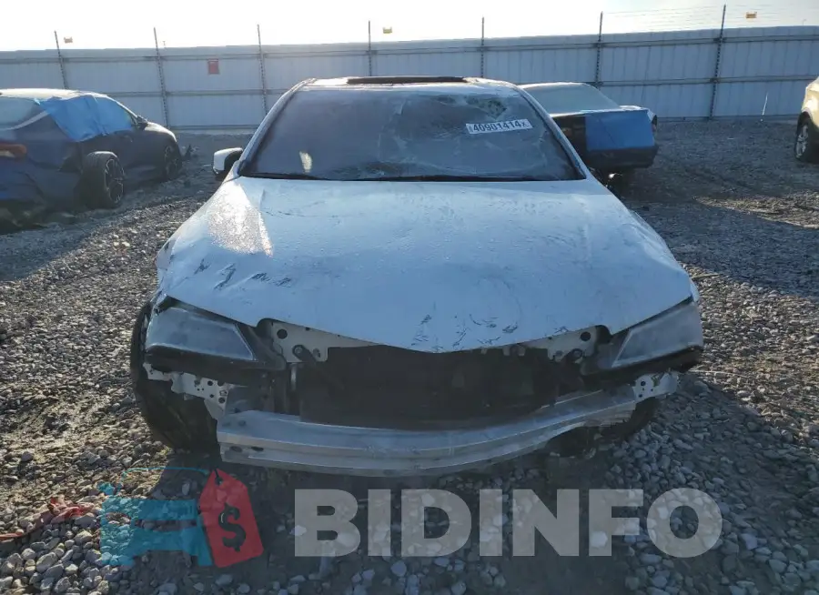19UUB1F53FA015035 Photo# 5
