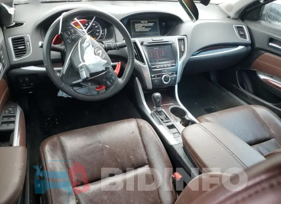 19UUB1F53FA015035 Photo# 8