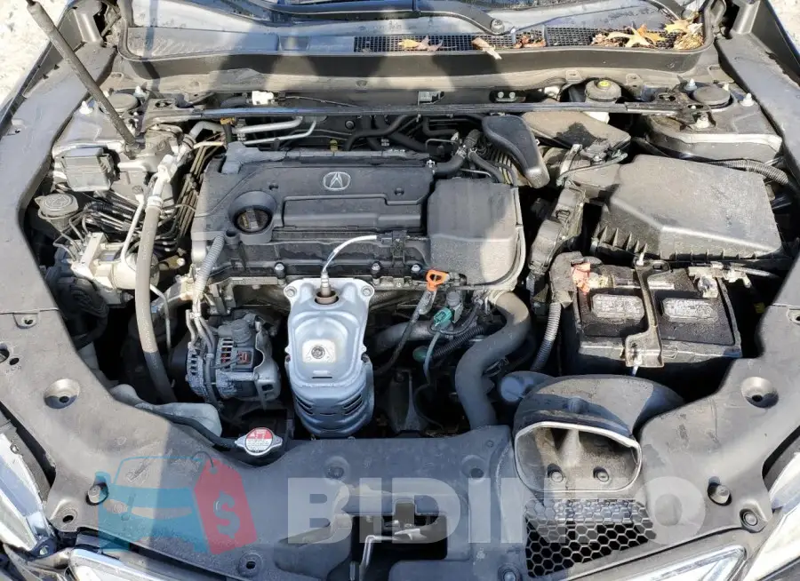 19UUB1F55FA019314 Photo# 11
