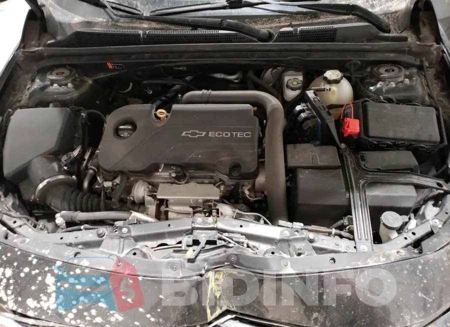 1G1ZB5ST8HF161932 Photo# 11