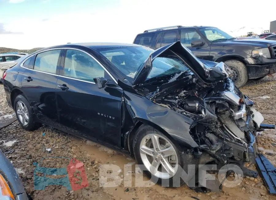 1G1ZD5ST2PF228307 Photo# 4