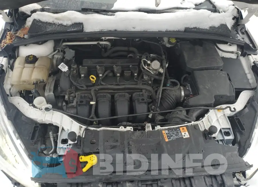1FADP3N22GL332660 Photo# 11